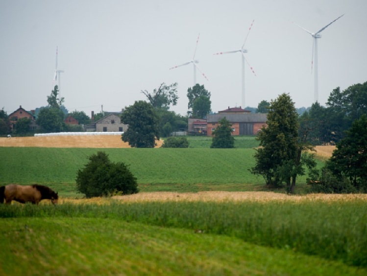 Ważne decyzje UE dotyczące zakupu energii z OZE